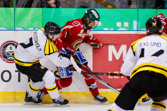 Brynäs Ponthus Westerholm