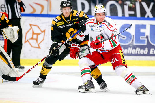 Skellefteås Tim Heed