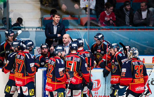 Djurgårdens assisterande tränare Tony Zabel samlar
