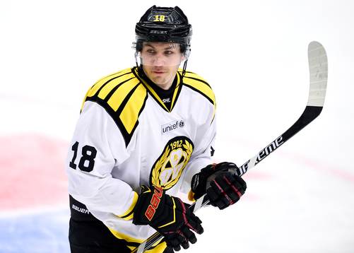 Brynäs Anton Rödin