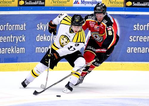 Brynäs Pathrik Westerholm