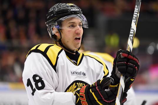 Brynäs Anton Rödin