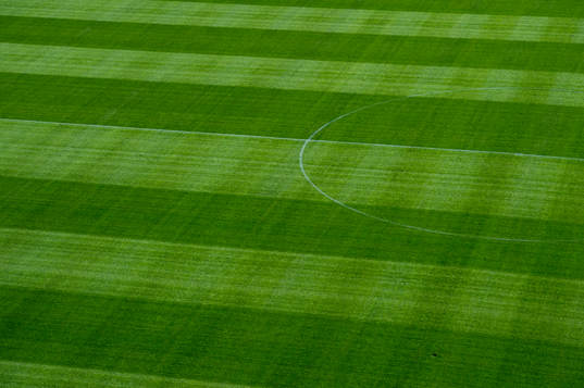 Gräset på Swedbank Stadion
