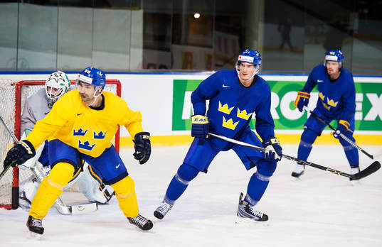 Målvakten Jhonas Enroth, Daniel Rahimi och Loui Eriksson