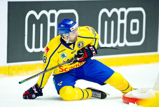 Sveriges Daniel Rahimi