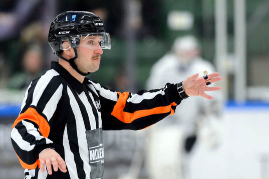 Domare Christoffer Karlsson