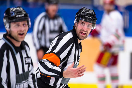 Domare Mikael Sjöqvist