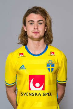 Felix Olsson Lundgren som spelar i P17/98-landslaget, poserar för ett porträtt den 27 november 2015 i Stockholm.