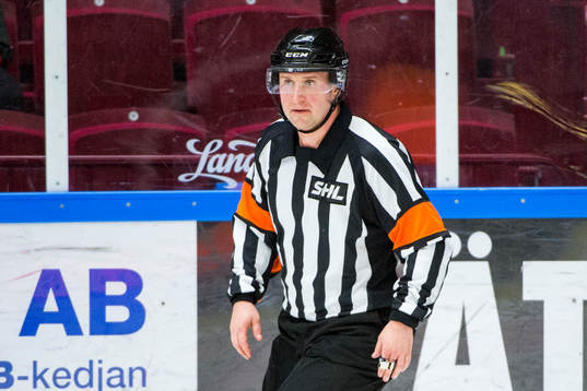 Domare Christoffer Karlsson