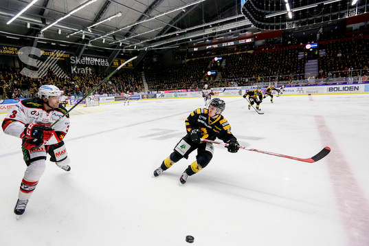 Skellefteås Niclas Burström