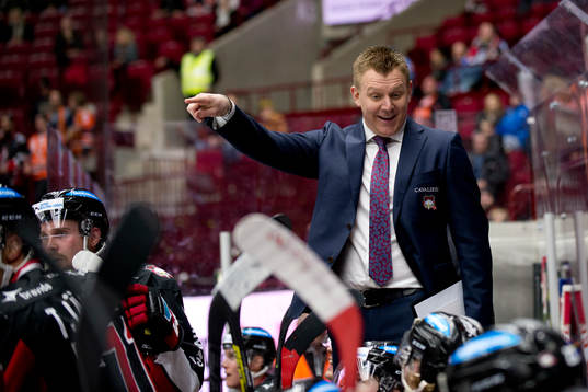 Malmö Redhawks assisterande tränare Jesper Mattsson