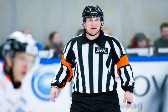 Domare Christoffer Karlsson