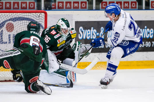 Leksands Martin Grönberg oroar kring Tingsryds målvakt