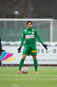 Dalkurds Jesper Nyholm