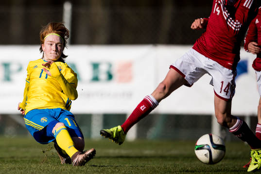 Sveriges Vetle Larsen