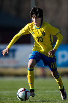 Sveriges Peter Gwargis