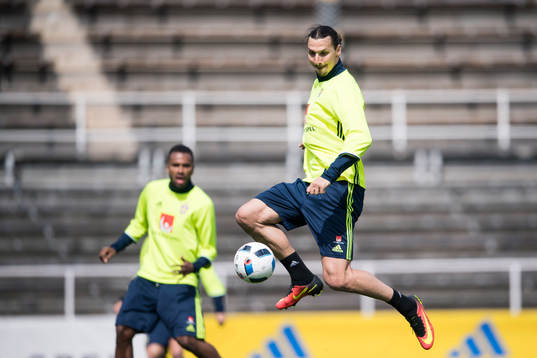 Zlatan Ibrahimovic