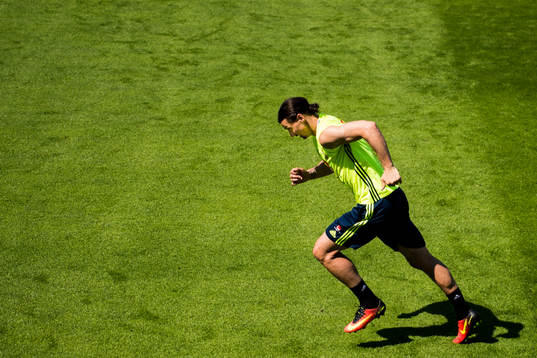 Zlatan Ibrahimovic