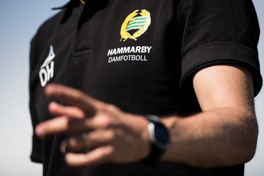 Emblem för Hammarby Damfotboll