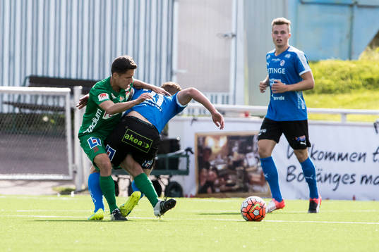 Dalkurds Predrag Randelovic