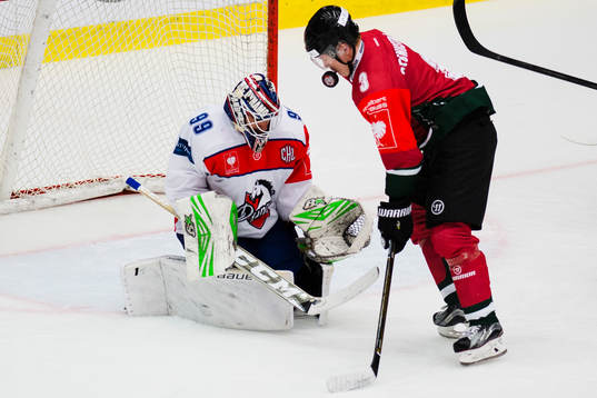 Pardubices målvakt Martin Ruzicka och Frölundas Carl