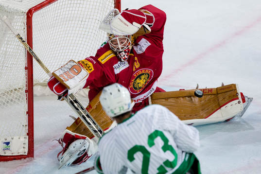 Bla gjennom flere bilder av Ishockey, Träningsmatch, SCL Tigers - Rögle