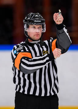Domare Thomas Öberg
