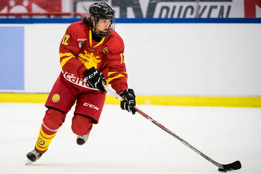 Skånes Robin Ericsson