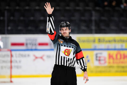 Domare Richard Magnusson