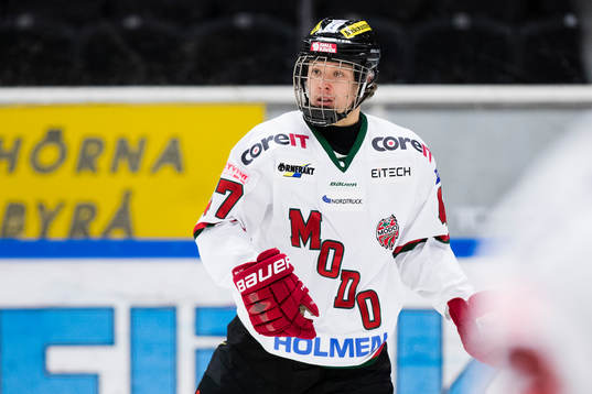 Modos Victor Berglund