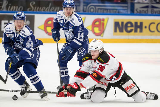 Leksands Olle Alsing, Oskar Lang och Malmö Redhawks Kim