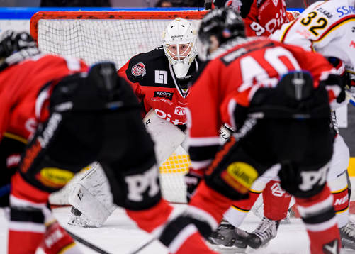 Piteås målvakt Joel Vännström