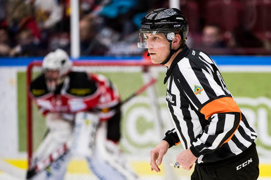 Domare Morgan Johansson