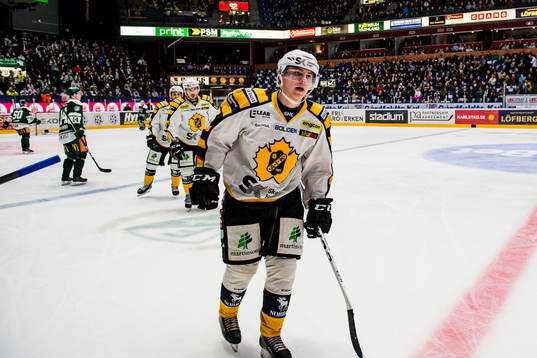 Skellefteås Sebastian Aho jublar