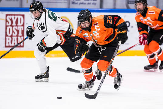 Karlskronas Haley Northcote