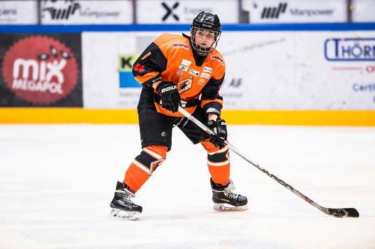 Karlskronas Reka Partos