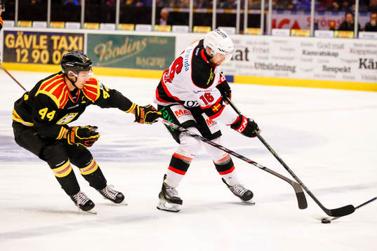 Brynäs Jacob Blomqvist och Malmö Redhawks Magnus