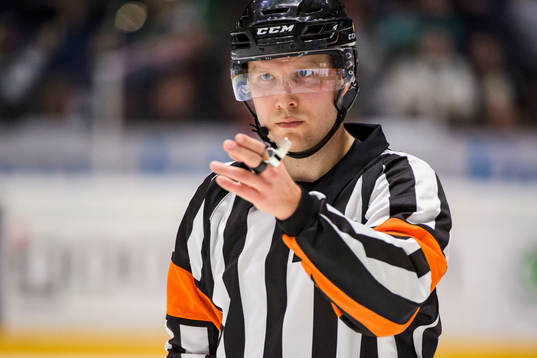 Domare Aleksi Rantala