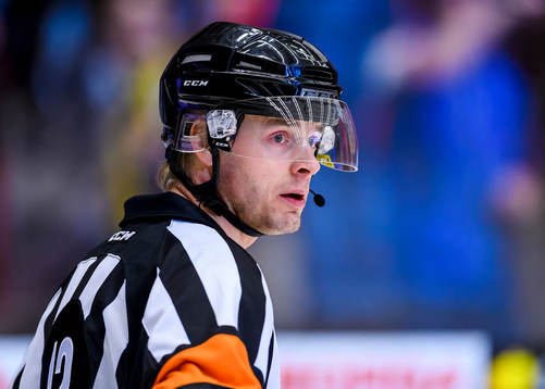 Domare Mikael Andersson