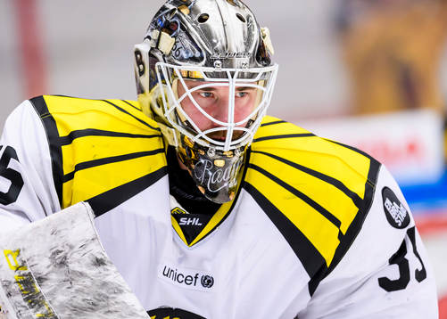 Brynäs målvakt David Rautio