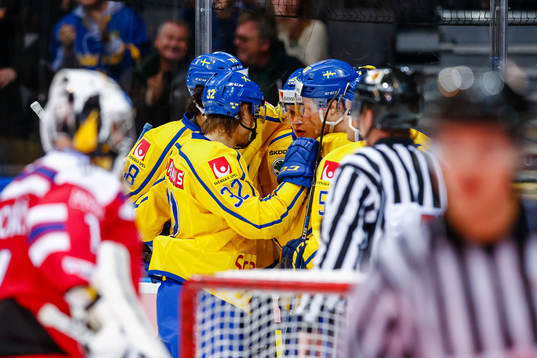 Sveriges spelare jublar