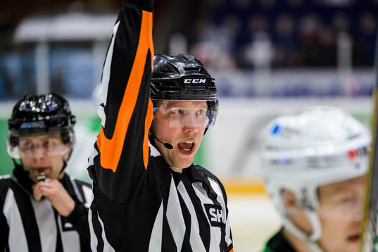 Domare Aleksi Rantala