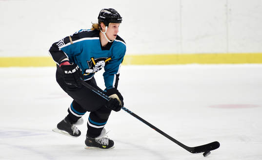 Dronts Jonathan Hedström