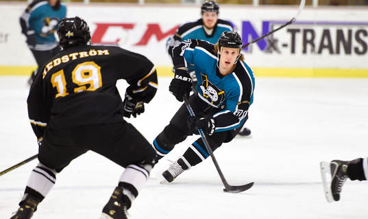 Dronts Jonathan Hedström