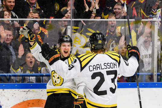 Brynäs Jacob Blomqvist jublar framför fansen