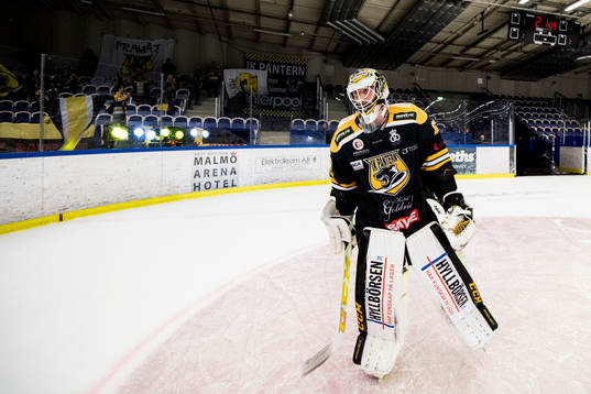 Panterns målvakt Tex Williamsson