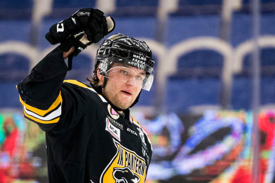 Panterns Robin Dahse jublar