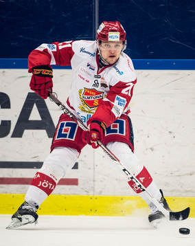 Almtunas Ludwig Blomstrand