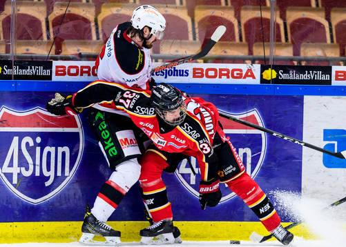 Malmö Redhawks Stefan Warg