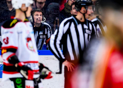 Domare Wolmer Edqvist